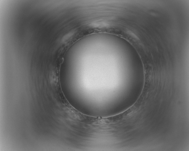 X0000062910966200601131422