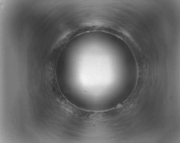 X0000062910967200601131422