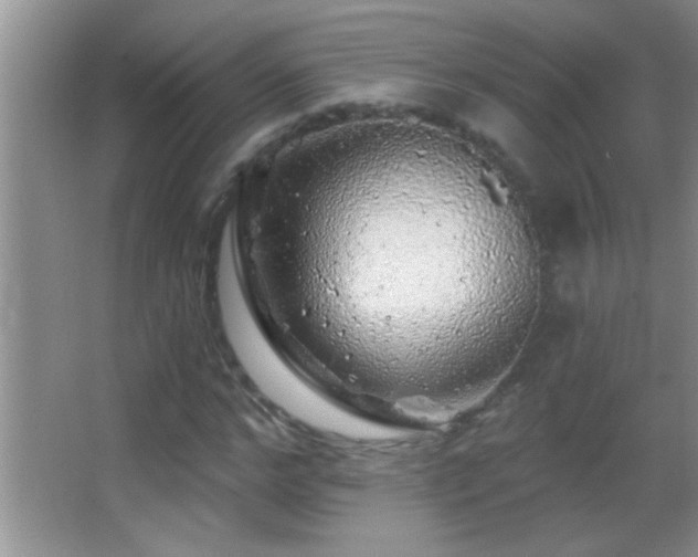 X0000062910968200601131422