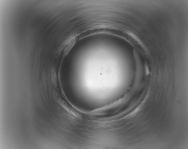 X0000062910969200601131422