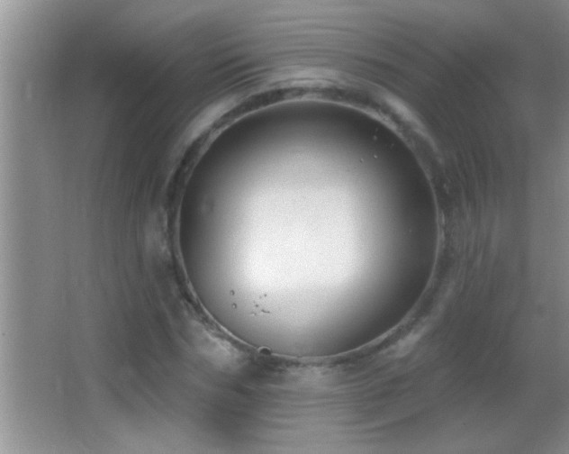 X0000062910970200601131422