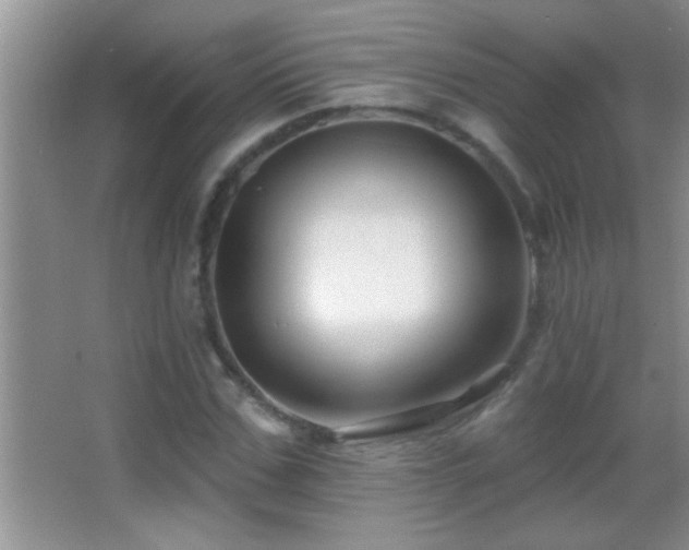 X0000062910971200601131422