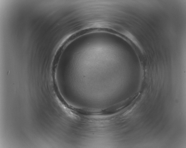 X0000062910972200601131422