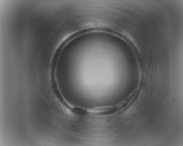 X0000062910975200601131422