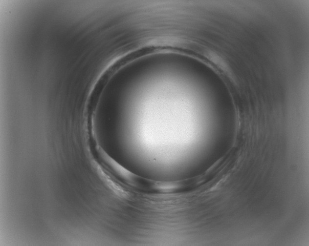 X0000062910976200601131422