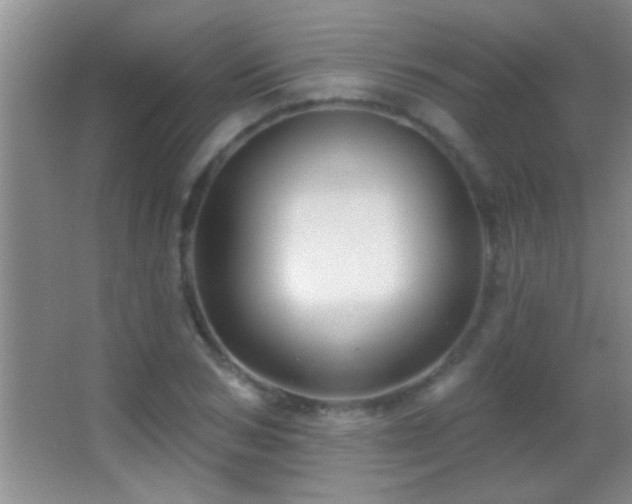 X0000062910978200601131422