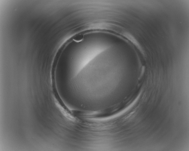 X0000062910980200601131422