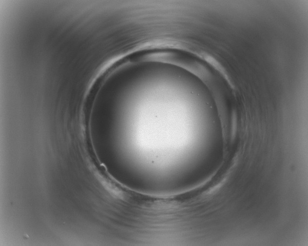 X0000062910981200601131422