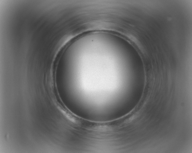 X0000062910982200601131422