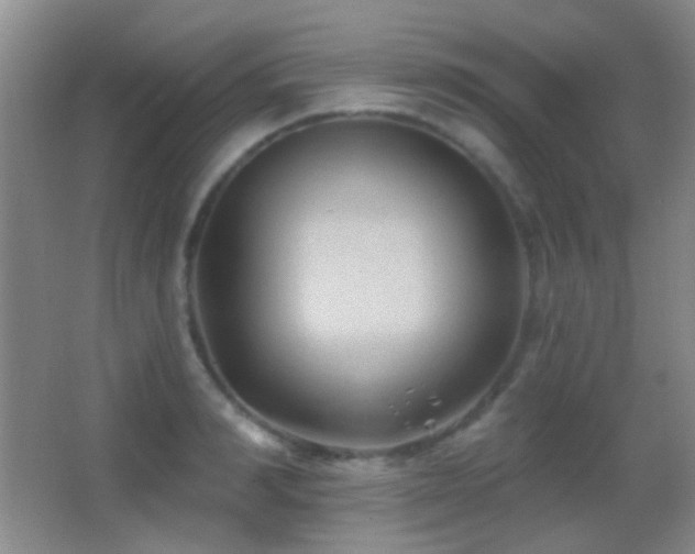 X0000062910990200601131421