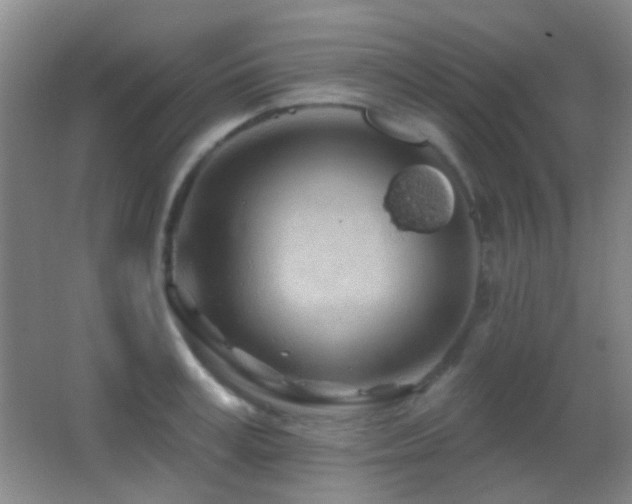 X0000062910995200601131421