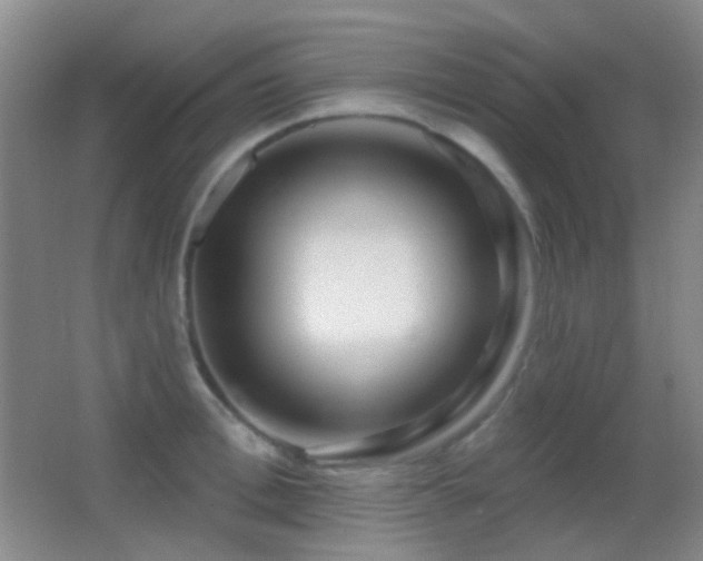 X0000062910996200601131421