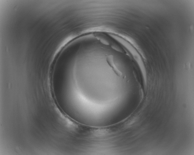 X0000062910998200601131421