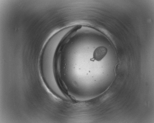 X0000062910999200601131421