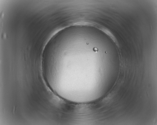 X0000062911000200601131421