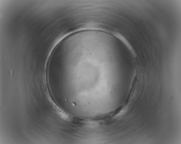 X0000062911004200601131421