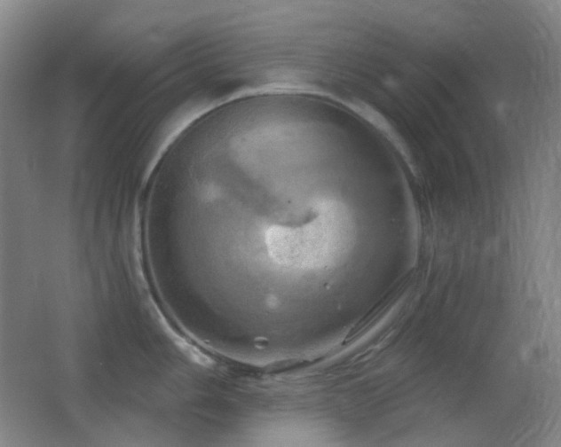 X0000062911006200601131421