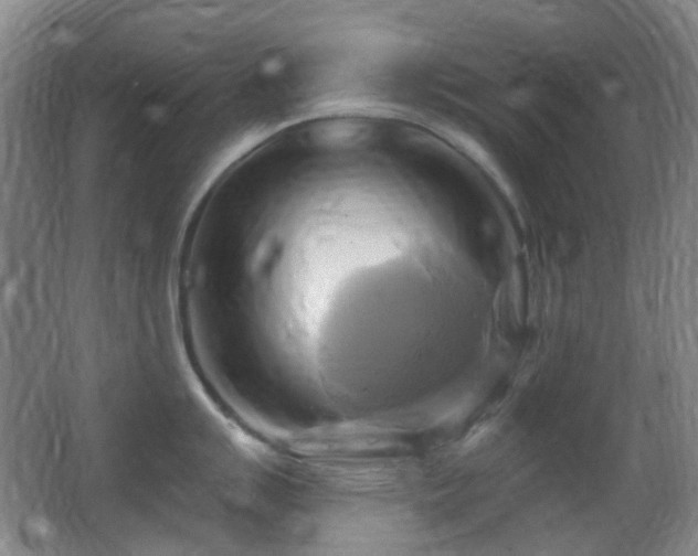 X0000062911007200601131421