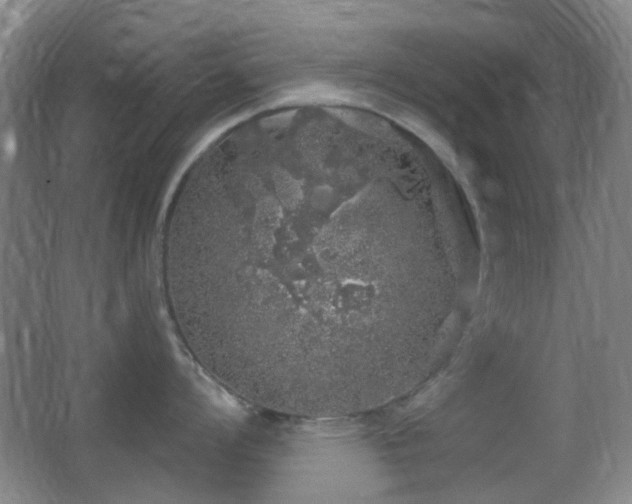 X0000062911008200601131421