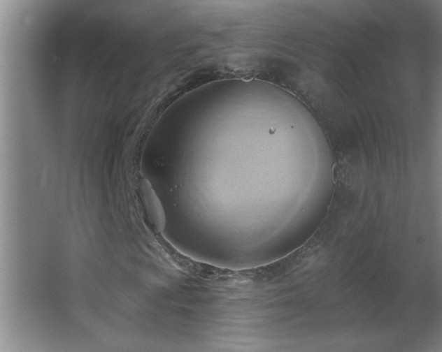 X0000062911009200601131420