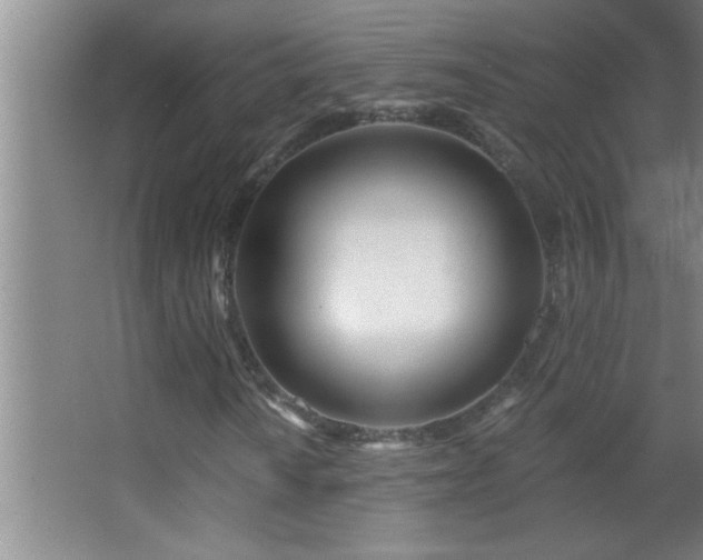 X0000062911010200601131420