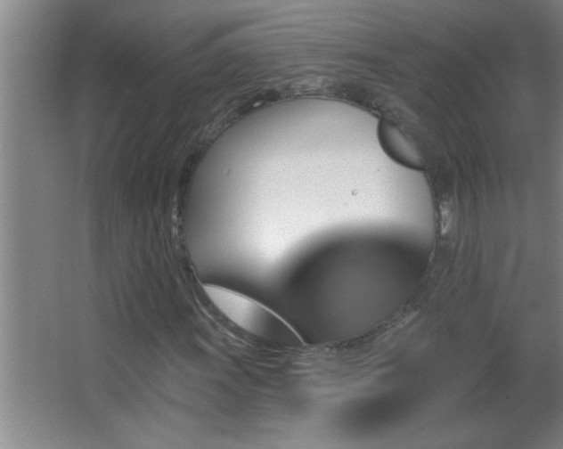 X0000062911011200601131420