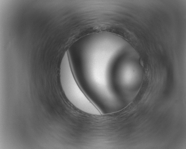 X0000062911012200601131420