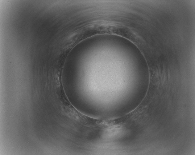 X0000062911013200601131420