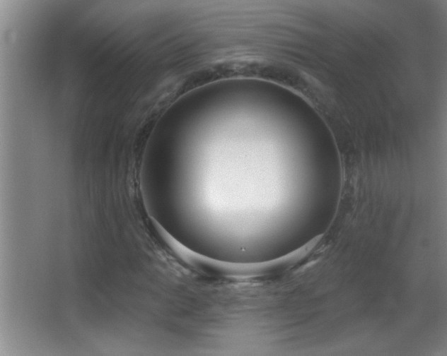 X0000062911014200601131420