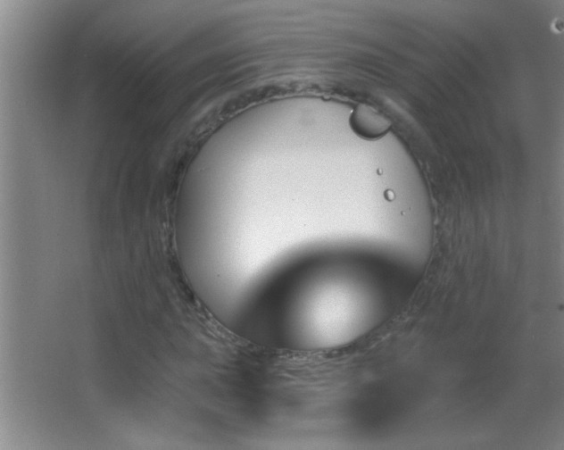 X0000062911015200601131420