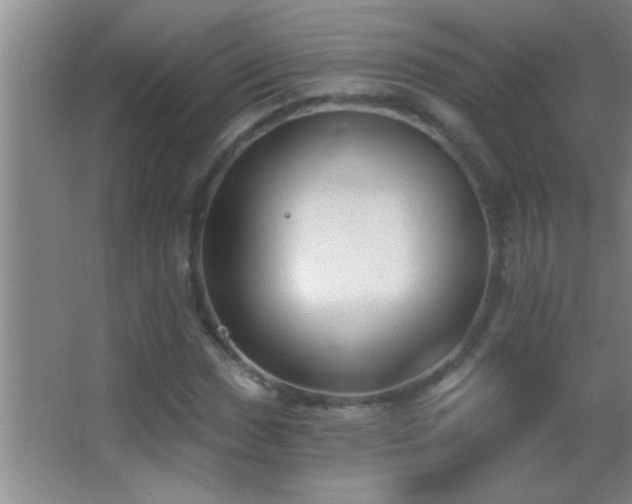 X0000062911017200601131420