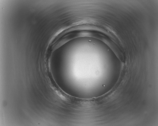 X0000062911018200601131420