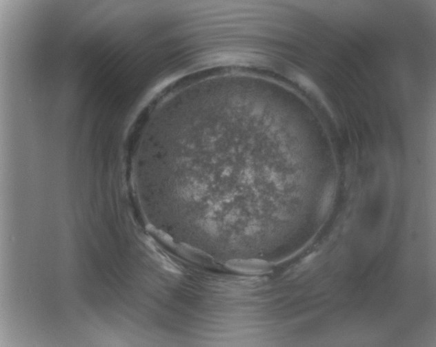 X0000062911019200601131420