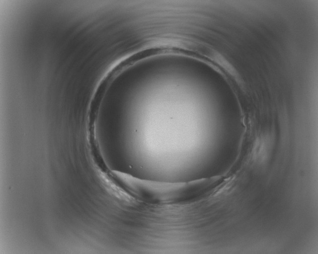 X0000062911020200601131420