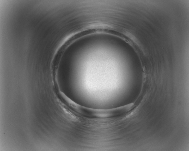 X0000062911022200601131420