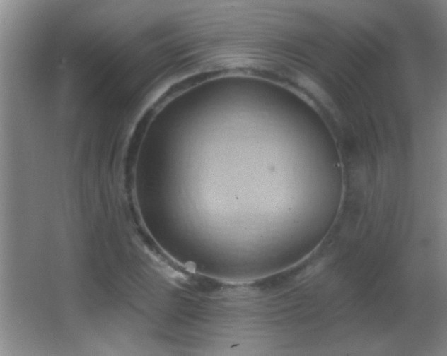 X0000062911023200601131421