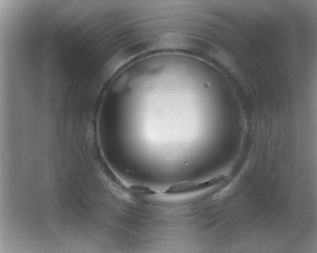 X0000062911025200601131421