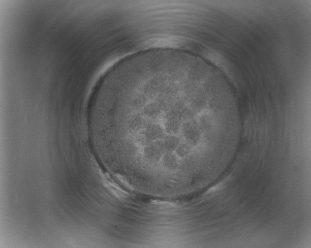 X0000062911027200601131421