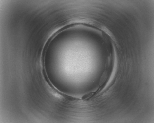 X0000062911028200601131421