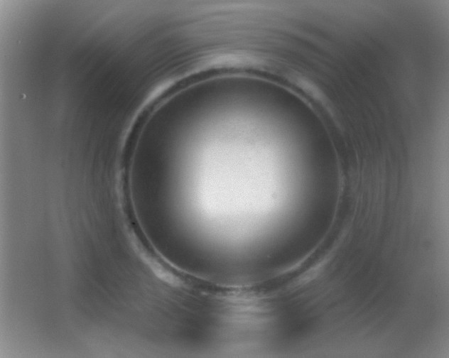 X0000062911029200601131421