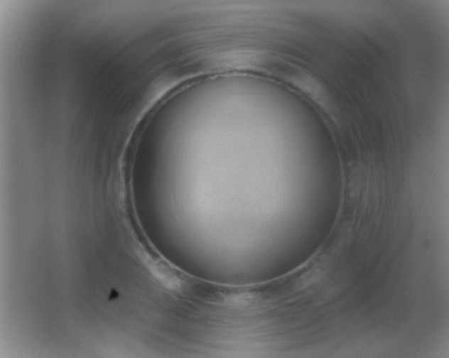 X0000062911031200601131421