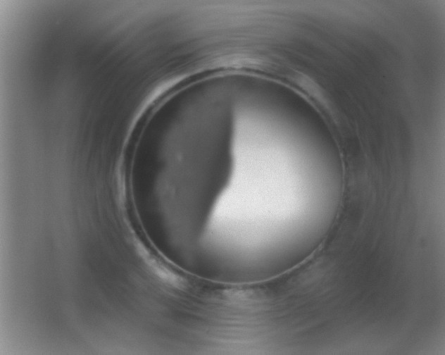 X0000062911032200601131421