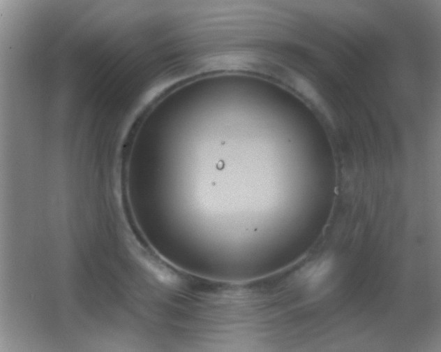 X0000062911035200601131421