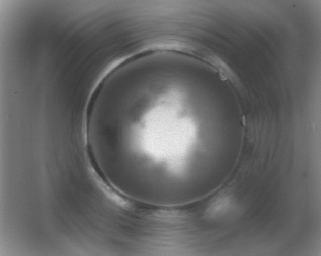 X0000062911036200601131421