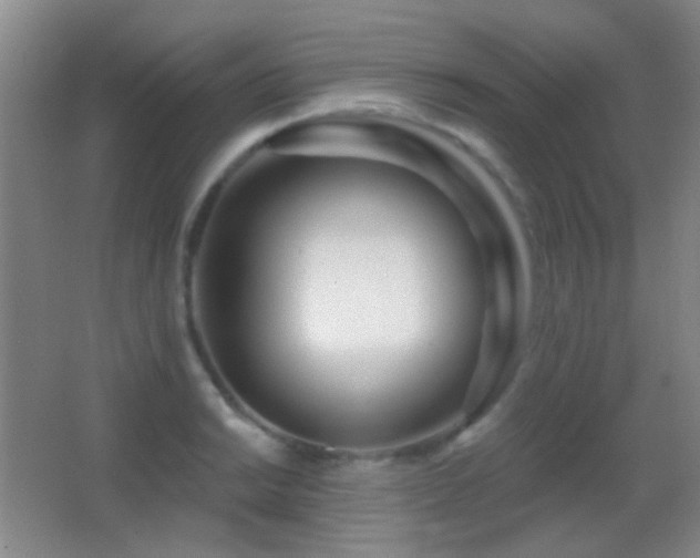 X0000062911038200601131421