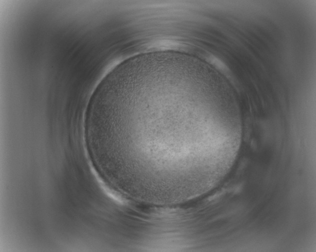 X0000062911039200601131421