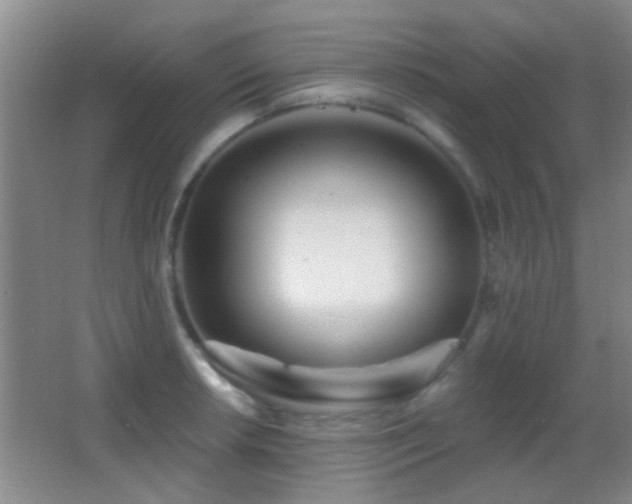 X0000062911042200601131421