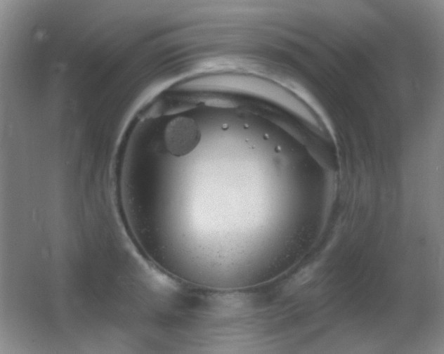 X0000062911045200601131421