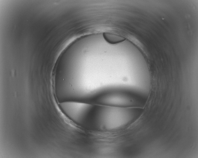 X0000062911047200601131421