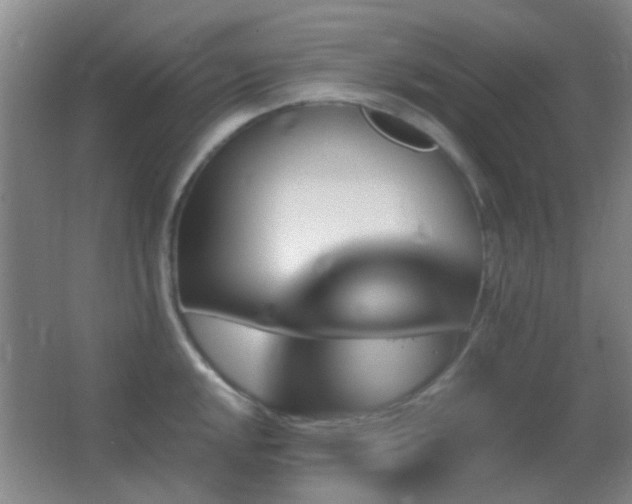 X0000062911048200601131421